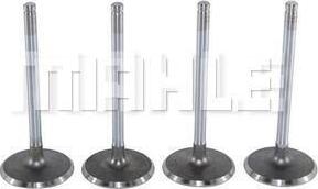 MAHLE VA0140041 - Впускний клапан autocars.com.ua