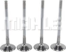 MAHLE VA0140072 - Впускний клапан autocars.com.ua