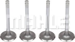 MAHLE VA0140084 - Впускний клапан autocars.com.ua