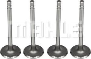 MAHLE VA0140104 - Впускний клапан autocars.com.ua