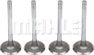 MAHLE VA0140114 - Впускний клапан autocars.com.ua