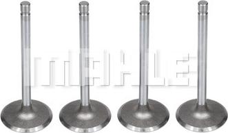 MAHLE VA0140183 - Впускний клапан autocars.com.ua