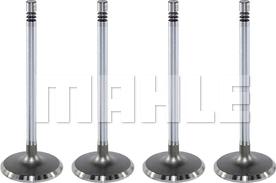 MAHLE VA0141396 - Впускний клапан autocars.com.ua