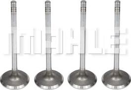 MAHLE VA0141431 - Впускний клапан autocars.com.ua