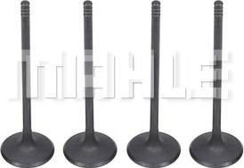 MAHLE VA0141579 - Впускний клапан autocars.com.ua