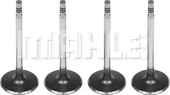 MAHLE VA0141705 - Впускний клапан autocars.com.ua