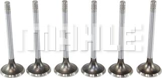 MAHLE VA0180124 - Впускний клапан autocars.com.ua