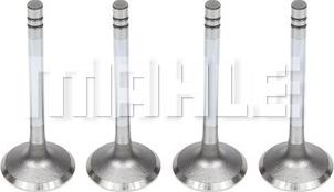 MAHLE VA0180389 - Впускний клапан autocars.com.ua