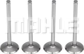 MAHLE VA0180395 - Впускний клапан autocars.com.ua