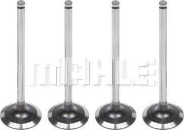 MAHLE VA0180421 - Впускний клапан autocars.com.ua