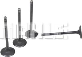 MAHLE VA0181703 - Впускний клапан autocars.com.ua