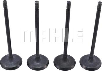MAHLE VA0181730 - Впускний клапан autocars.com.ua