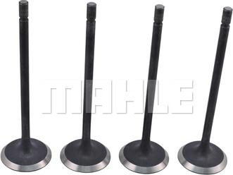 MAHLE VA0181746 - Впускний клапан autocars.com.ua
