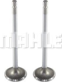 MAHLE VA0210151 - Впускний клапан autocars.com.ua