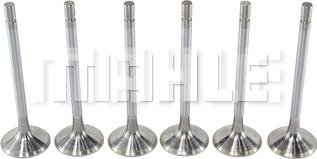 MAHLE VA0210153 - Впускний клапан autocars.com.ua