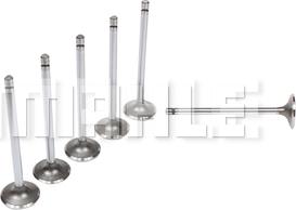 MAHLE VA0211371 - Впускний клапан autocars.com.ua