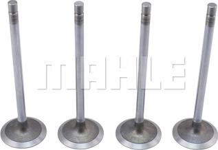 MAHLE VA0211732 - Впускний клапан autocars.com.ua