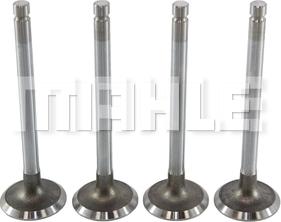 MAHLE VA0250002 - Впускний клапан autocars.com.ua