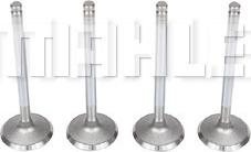 MAHLE VA0250054 - Впускний клапан autocars.com.ua