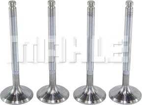 MAHLE VA0250162 - Впускний клапан autocars.com.ua