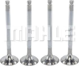 MAHLE VA0250165 - Впускний клапан autocars.com.ua