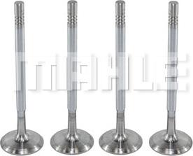 MAHLE VA0250166 - Впускний клапан autocars.com.ua