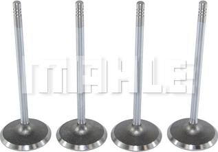 MAHLE VA0250271 - Впускний клапан autocars.com.ua