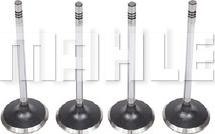 MAHLE VA0251614 - Впускний клапан autocars.com.ua