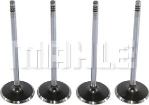 MAHLE VA0251632 - Впускний клапан autocars.com.ua