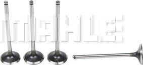 MAHLE VA0440579 - Впускний клапан autocars.com.ua