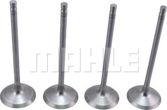 MAHLE VA0441689 - Впускний клапан autocars.com.ua