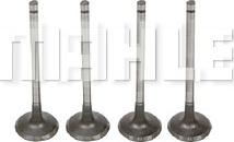 MAHLE VA0441701 - Впускний клапан autocars.com.ua