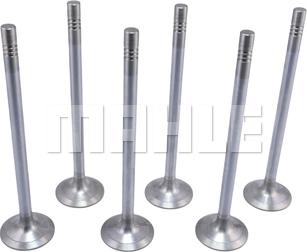 MAHLE VA0461734 - Впускний клапан autocars.com.ua