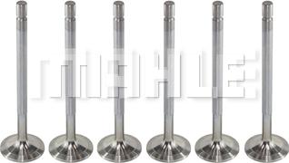 MAHLE VA0480244 - Впускний клапан autocars.com.ua