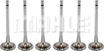 MAHLE VA0481436 - Впускний клапан autocars.com.ua