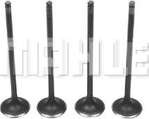 MAHLE VA0510209 - Впускний клапан autocars.com.ua