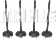 MAHLE VA0510263 - Впускний клапан autocars.com.ua