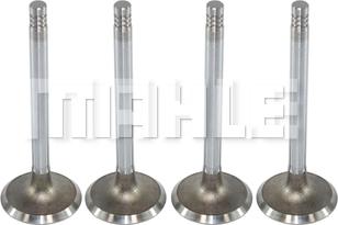 MAHLE VA0570038 - Впускний клапан autocars.com.ua