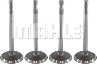 MAHLE VA0590044 - Впускний клапан autocars.com.ua