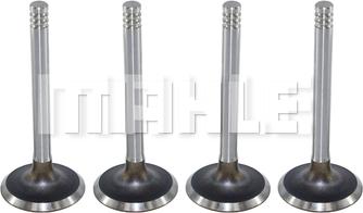 MAHLE VA0590066 - Впускний клапан autocars.com.ua