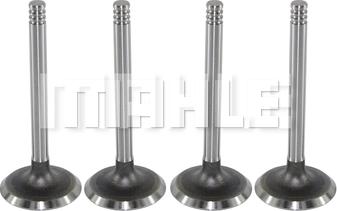 MAHLE VA0590067 - Впускний клапан autocars.com.ua