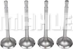 MAHLE VA0590093 - Впускний клапан autocars.com.ua