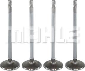 MAHLE VA0590170 - Впускний клапан autocars.com.ua