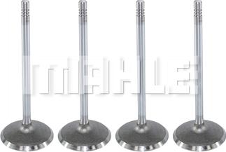 MAHLE VA0590174 - Впускний клапан autocars.com.ua