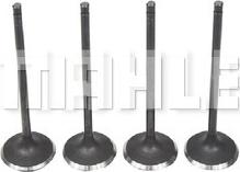 MAHLE VA0590255 - Впускний клапан autocars.com.ua