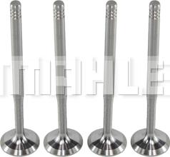 MAHLE VA0700009 - Впускний клапан autocars.com.ua