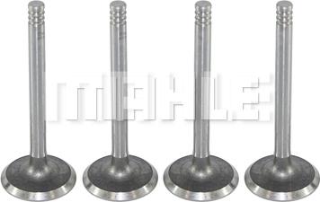 MAHLE VA0700017 - Впускний клапан autocars.com.ua