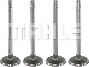 MAHLE VA0700020 - Впускний клапан autocars.com.ua