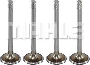 MAHLE VA0700028 - Впускний клапан autocars.com.ua