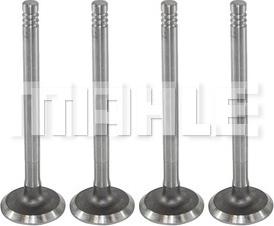 MAHLE VA0700050 - Впускний клапан autocars.com.ua